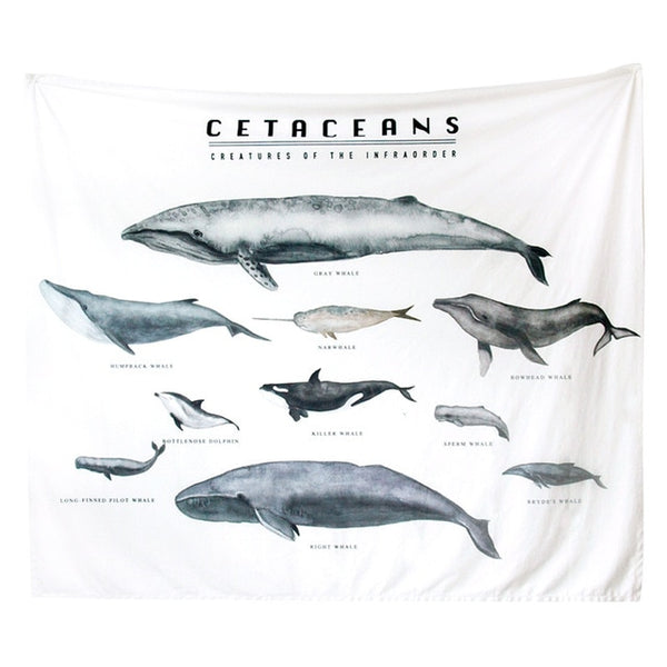 Wall Decoration Tapestries