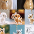 files/S373c5288f18d49e2a8d4fbcd1abf7e8dO.webp