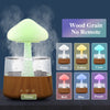 Rain Cloud Humidifier