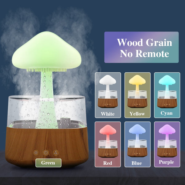 Rain Cloud Humidifier