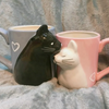 Kiss Me Cat Lovers Mug Set (Handmade)