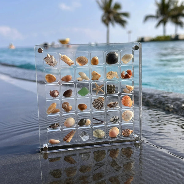 ORIGINAL DESIGN - Acrylic Magnetic Seashell Display Box