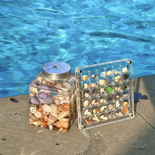 ORIGINAL DESIGN - Acrylic Magnetic Seashell Display Box