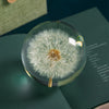 Real Dried Dandelion Crystal Glass Resin Lens Ball