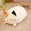 10-25CM Animal Plush (BLOWOUT SALE)