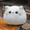 8-40CM Cat Pillow Plush