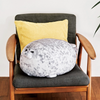 Chonky Seal Plush Pillow