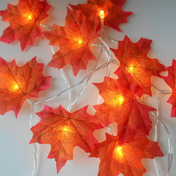 Maple Led Leaves