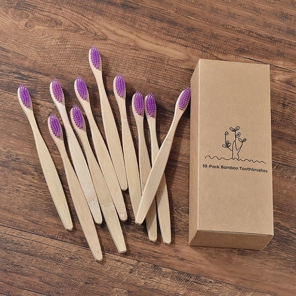 Eco Friendly Bamboo Toothbrush