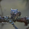 Green Eye Crystal Owl Ring