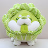 Cabbage Shiba Inu Dog