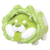 Cabbage Shiba Inu Dog